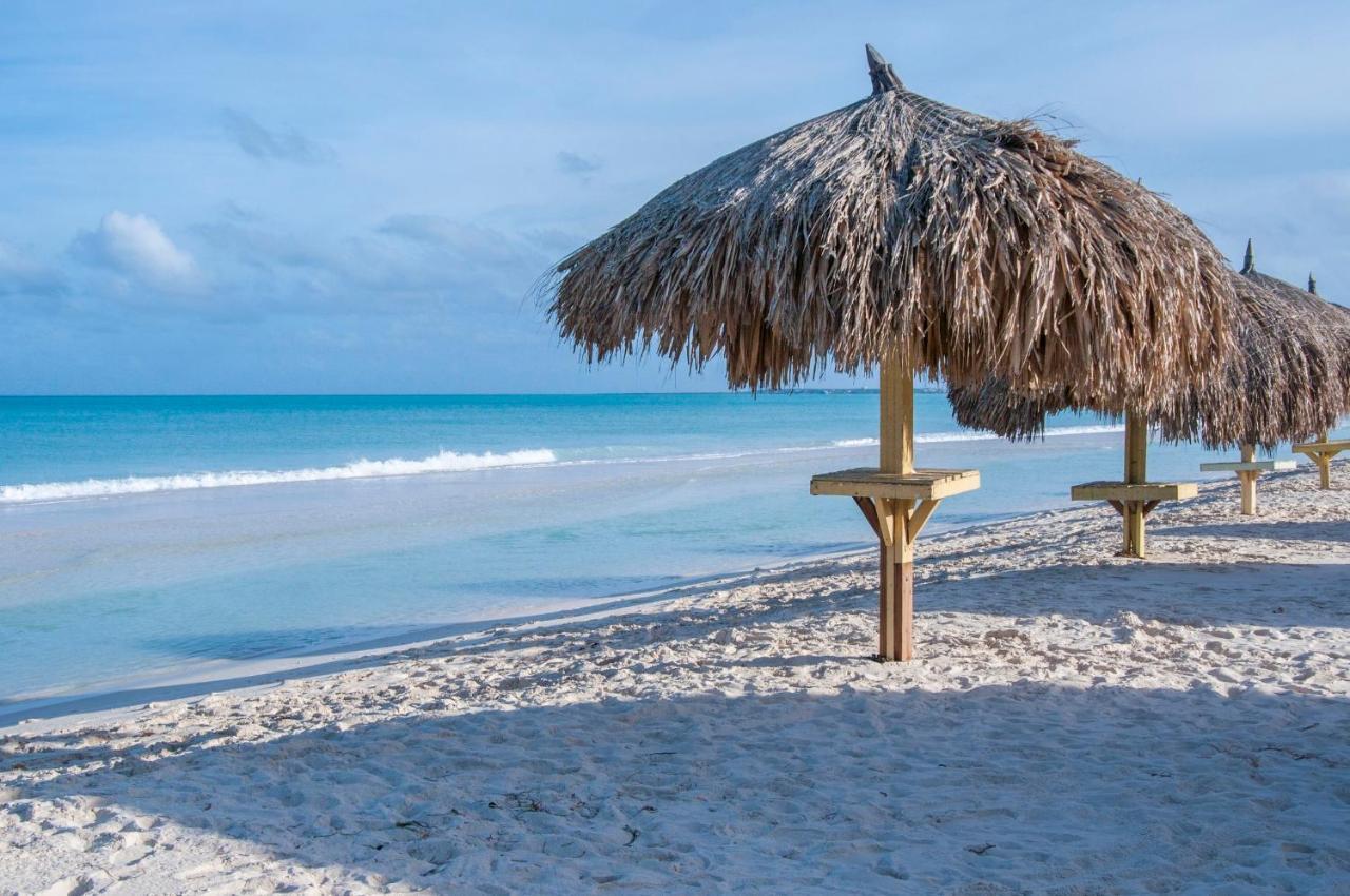 Yoyita Suites Aruba Villa Palm Beach Eksteriør billede